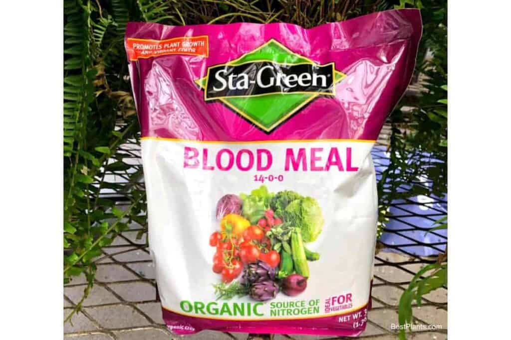 Blood Meal Fertilizer