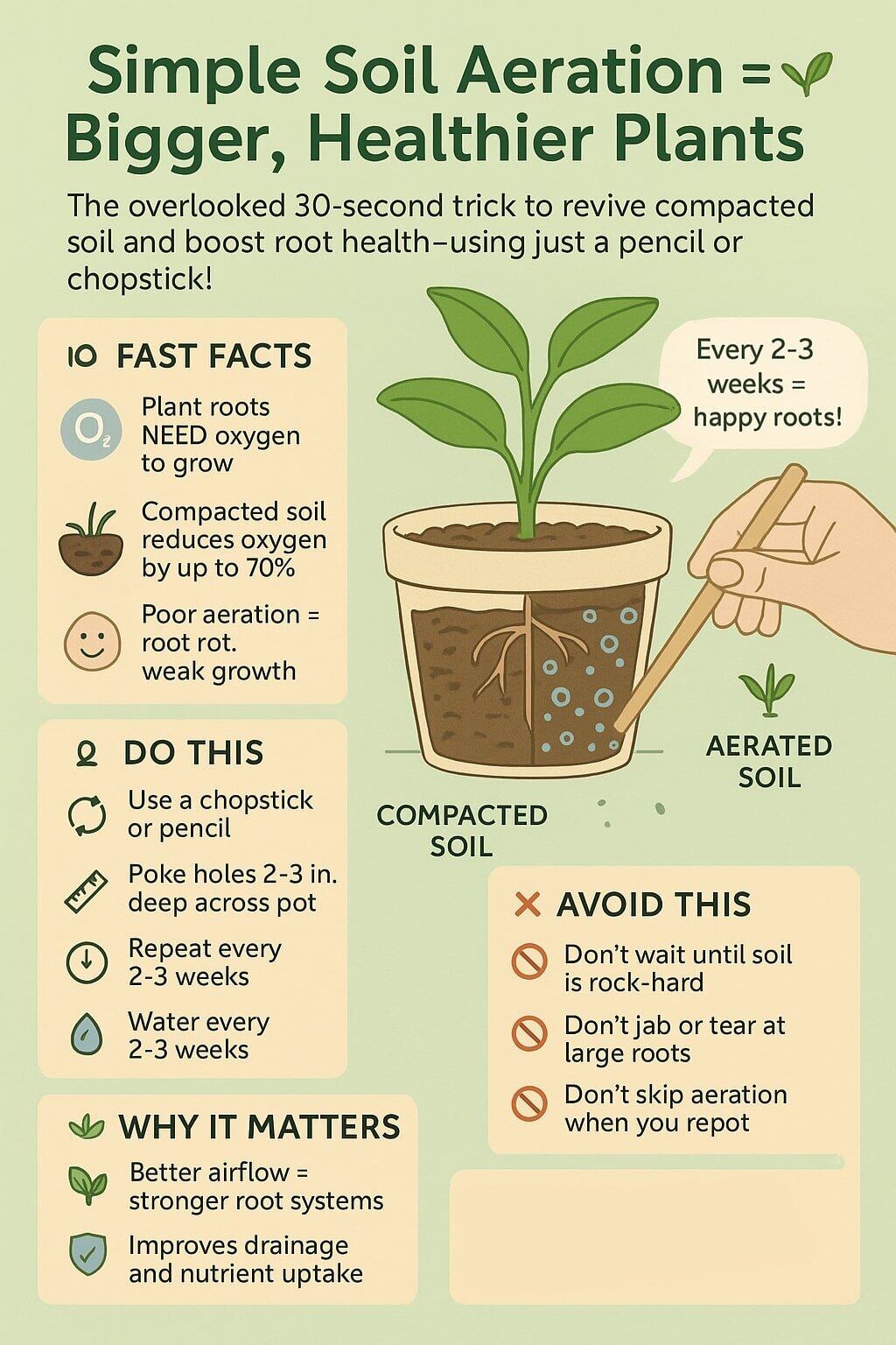 The Shocking Reason Your Plants Are Suffocating (And How to Save Them)